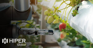 A robotic arm, powered by big data, picking fresh strawberries - including the HIPER Global logo